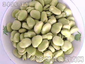 神农粮油-供应小白皮蚕豆种